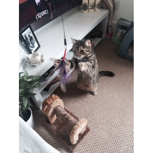 Purrs Speelgoed